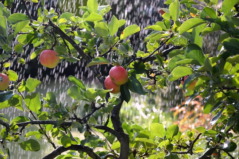 Irrigation Techniques